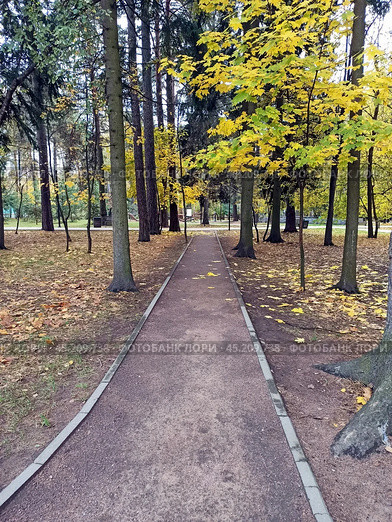 Осень в Пестовском парке в Балашихе. Редакционное фото, фотограф stargal / Фотобанк Лори