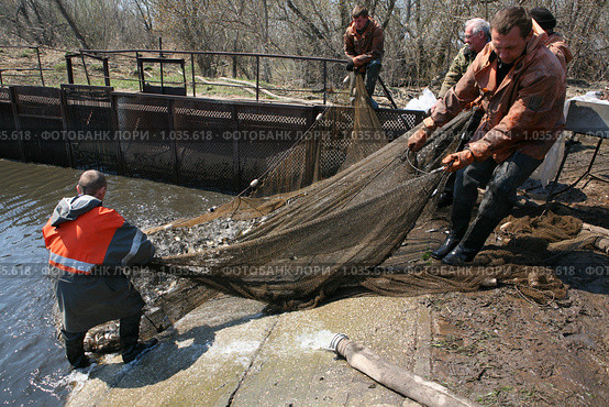 Отлов  карпа (2009 год). Редакционное фото, фотограф Vdovina Elena / Фотобанк Лори