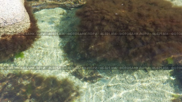 Отмель Японского моря. Стоковое видео, видеограф Кузнецов Александр / Фотобанк Лори