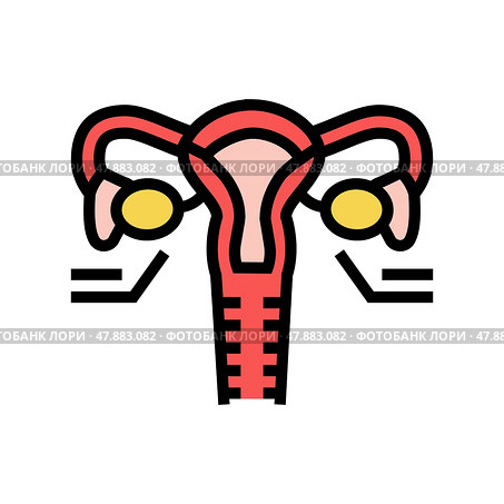ovaries endocrinology color icon vector illustration. Стоковая иллюстрация, иллюстратор Vectorwin / Фотобанк Лори