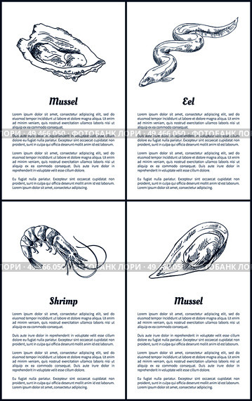 Oyster and eel seafood posters set with monochrome outline sketches. Shrimp and mollusk meat delicatessen food, uncooked sea meals vector illustration. Oyster and Eel Seafood Set Vector Illustration. Стоковая иллюстрация, агентство Ingram Publishing / Фотобанк Лори