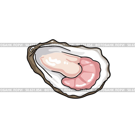 Oyster on shell, on white background, fresh, gourmet delicacy, hand-drawn style, seafood concept. Стоковое AI-изображение, AI-художник Елена Скрипкина / Фотобанк Лори