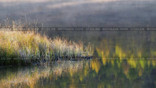 Озеро Джангысколь на плато Ештыкель, Алтай / Reflection of autumn forest with Larix sibirica in water of mountain lake Dzhangyskol on Eshtyke plateau. Altai. Стоковое видео, видеограф Сергей Пристяжнюк (Serg Zastavkin) / Фотобанк Лори