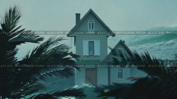 Palm Trees Swaying Near a House During a Storm. Стоковое AI-видео, аниматор Данила Большаков / Фотобанк Лори