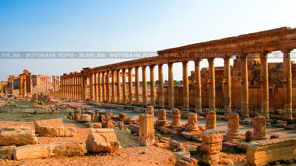 Panorama of Palmyra columns and ancient city, destroyed now, Syr (2011 год). Стоковое фото, фотограф Сергей Майоров / Фотобанк Лори