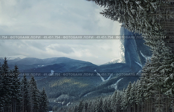 Panoramic view of Carpathians mountain range with the fir forest background in a cold and snowy winter day.  Three dimensional landscape, holiday journey, hiking and trekking concept. Стоковое фото, агентство Ingram Publishing / Фотобанк Лори