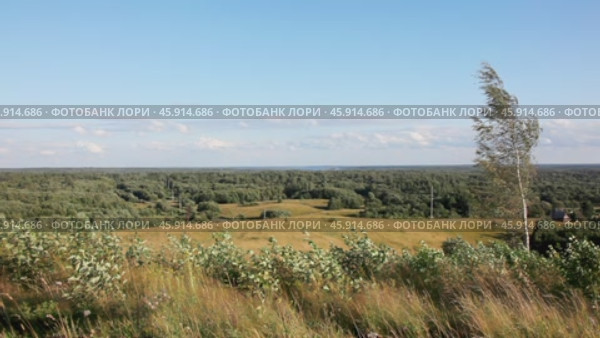 Панорамный природный пейзаж с высокой точка на лес и луг под ясным небом. Стоковое видео, видеограф Сергей Никифоров-Гордеев / Фотобанк Лори