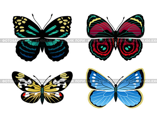 Parantica melaneus collection of butterflies types, morpho peleides and campylotes histrionicus butterfly, vector illustration, isolated on white. Parantica Melaneus Collection Vector Illustration. Стоковая иллюстрация, агентство Ingram Publishing / Фотобанк Лори