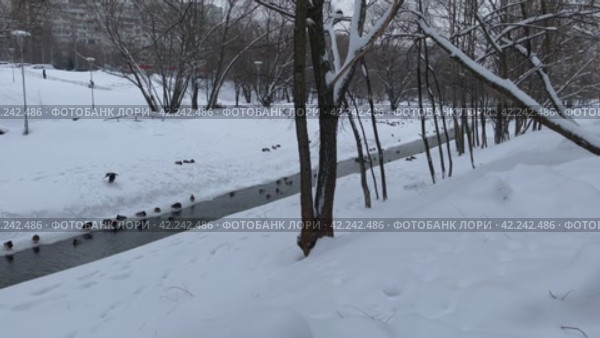 Парк Битца, район Северное Бутово, город Москва, Россия (2024 год). Стоковое видео, видеограф Щеголева Ольга / Фотобанк Лори