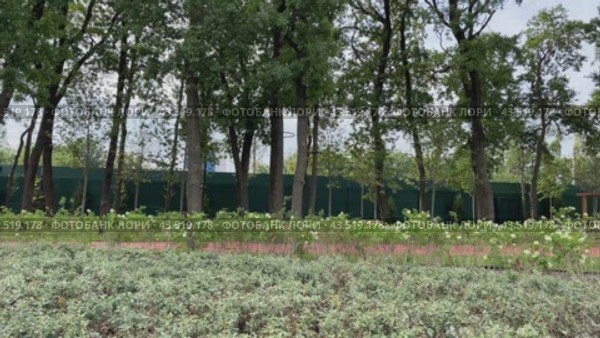 Парк Галицкого, парк облаков, дубовая аллея, Краснодар (2024 год). Стоковое видео, видеограф Елена Букия / Фотобанк Лори