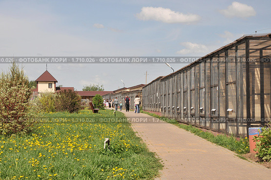 Парк птиц "Воробьи" (2010 год). Редакционное фото, фотограф stargal / Фотобанк Лори