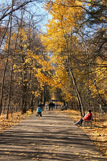 Парк усадьбы Ясенево, Битцевский лесопарк, Москва. Люди отдыхают, гуляют в парке осенним днем (2013 год). Стоковое фото, фотограф Щеголева Ольга / Фотобанк Лори