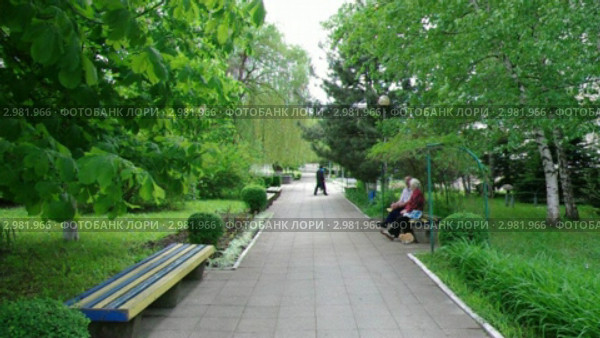 Парк в начале лета (2011 год). Редакционное видео, видеограф Валерий Шилов / Фотобанк Лори