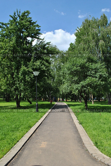 Парк Зюзино. Город Москва (2014 год). Стоковое фото, фотограф lana1501 / Фотобанк Лори
