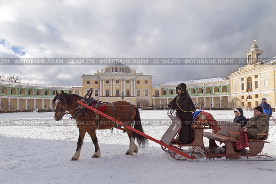 Павловск. Катание на лошадях (2016 год). Редакционное фото, фотограф Валентина Качалова / Фотобанк Лори