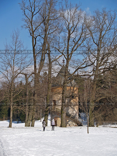 Павловск. Пиль-башня  за деревьями  парка (2013 год). Редакционное фото, фотограф Ирина Борсученко / Фотобанк Лори
