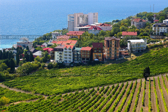 Пейзажи Крыма. Виноградники в Алуште. Район Профессорский уголок (2015 год). Стоковое фото, фотограф ирина реброва / Фотобанк Лори