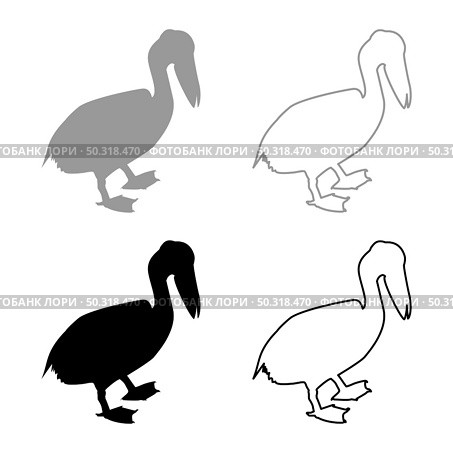 Pelican bird Seabird Waterbird silhouette grey black color vector illustration solid outline style simple image. Pelican bird Seabird Waterbird silhouette grey black color vector illustration solid outline style image. Стоковая иллюстрация, агентство Ingram Publishing / Фотобанк Лори