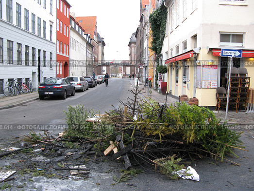 Пепелище из новогодних ёлок посреди города Копенгаген (2008 год). Редакционное фото, фотограф Георгий Ильин / Фотобанк Лори