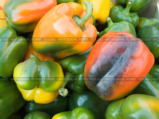 Перец. Pepper. Стоковое фото, фотограф Юрий Борисенко / Фотобанк Лори