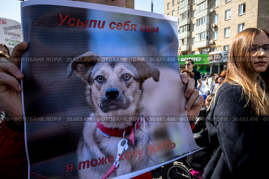 Первомайский марш в защиту животных по центральным улицам города Москвы, Россия (2019 год). Редакционное фото, фотограф Николай Винокуров / Фотобанк Лори