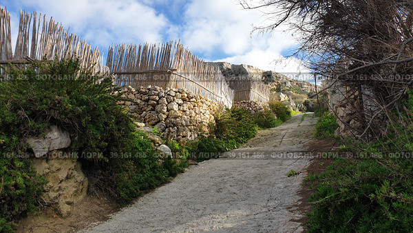 Пешеходная дорожка от моря в город Надур (Nadur). Остров Гоцо (Gozo). Республика Мальта (2023 год). Стоковое фото, фотограф lana1501 / Фотобанк Лори
