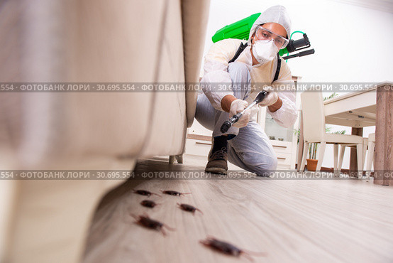 Pest control contractor working in the flat. Стоковое фото, фотограф Elnur / Фотобанк Лори