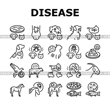 Pet Disease Ill Health Problem Icons Set Vector. Стоковая иллюстрация, иллюстратор Vectorwin / Фотобанк Лори