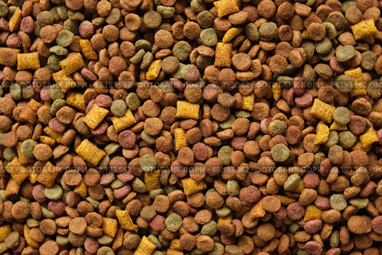 Pet Food Texture. Lot of Dry Granules of Crunchy Dog or Cat Food. Rotating Background. Animal Feed Pile. Fodder. Meal for Cats, Dogs. Filling. Daylight. Advertising. Pet Shop, Delivery. Healthy Treat. Стоковое фото, фотограф Марина Демидюк / Фотобанк Лори