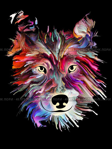 Pet portrait in bright colors on black background on subject of love, friendship, faithfulness, companionship between dog and man. God bless animals series. Стоковое фото, агентство Ingram Publishing / Фотобанк Лори