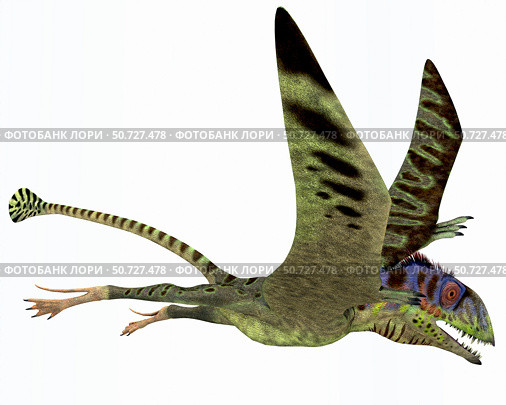 Peteinosaurus pterosaur from the Triassic Period. Стоковое фото, фотограф Corey Ford/Stocktrek Images / ТАСС / Фотобанк Лори