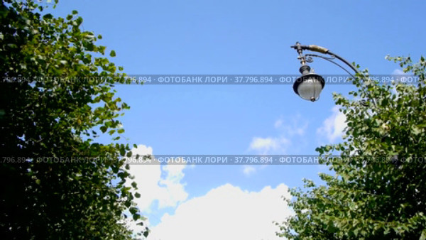 Петербургский уличный фонарь (2022 год). Стоковое видео, видеограф Vanilla Decline / Фотобанк Лори