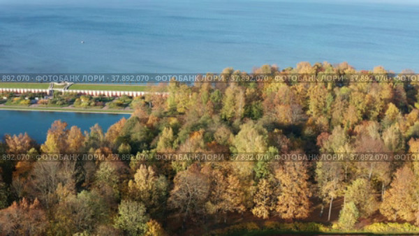 Петергоф осенью. Аллеи Нижнего парка. Вид с воздуха. Peterhof in autumn. Alleys of the Nizhny Park. Aerial view. (2021 год). Редакционное видео, видеограф Евгений Романов / Фотобанк Лори