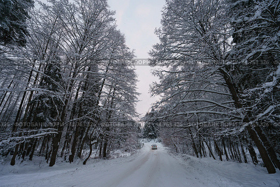 Photography of the beauty of nature within winter in Russia. Country road is covered by snow. Стоковое фото, фотограф YuryKara / Фотобанк Лори