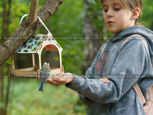 Photography of young Magician. A girl feeds a tit bird from her hands. The concept of trust, communication with wildlife, caring for wildlife. Стоковое фото, фотограф YuryKara / Фотобанк Лори