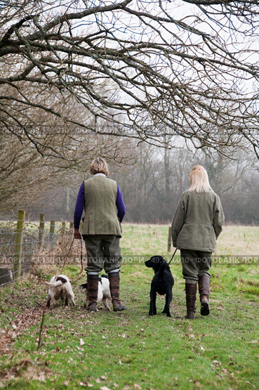 Pickers up walking thier dogs in a field during a shoot. Стоковое фото, агентство Ingram Publishing / Фотобанк Лори