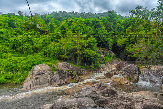 Picturesque mountain landscape with a small waterfall flowing between stone boulders surrounded by dense tropical vegetation. In the background are hills covered with green forest under a cloudy sky. The atmosphere of a wild corner of nature conveys the tranquility and beauty of an untouched world. Стоковое фото, фотограф Анна Кривицкая / Фотобанк Лори