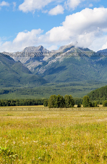 Picturesque mountain landscape with yellowed meadow and a rocky mountain ridge against background of blue sky with clouds on sunny day in early autumn. Eastern Sayan Mountains, Tunka valley, Buryatia. Стоковое фото, фотограф Виктория Катьянова / Фотобанк Лори