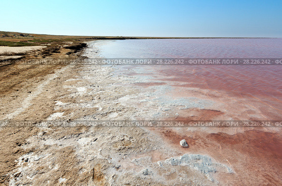 Pink salty Syvash Lake, Ukraine (2017 год). Стоковое фото, фотограф Юрий Брыкайло / Фотобанк Лори