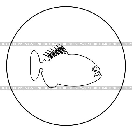 Piranha angry fish icon in circle round outline black color vector illustration flat style simple image. Piranha angry fish icon in circle round outline black color vector illustration flat style image. Стоковая иллюстрация, агентство Ingram Publishing / Фотобанк Лори