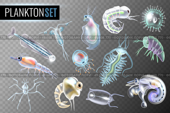 Plankton transparent set of daphnia amphipod krill copepod phytoplankton underwater inhabitants isolated vector illustration. Plankton Transparent Set. Стоковая иллюстрация, агентство Ingram Publishing / Фотобанк Лори