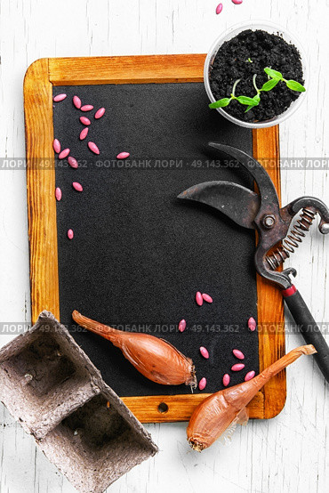 Plant seeds and seedlings. Seeds of spring flowers and garden tools. Стоковое фото, агентство Ingram Publishing / Фотобанк Лори