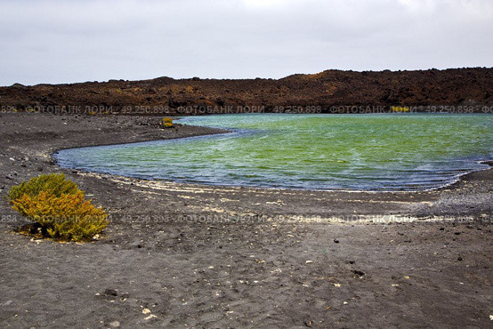 plant stone  atlantic ocean sky  water lanzarote in el golfo  spain musk pond rock  coastline and summer . Стоковое фото, агентство Ingram Publishing / Фотобанк Лори