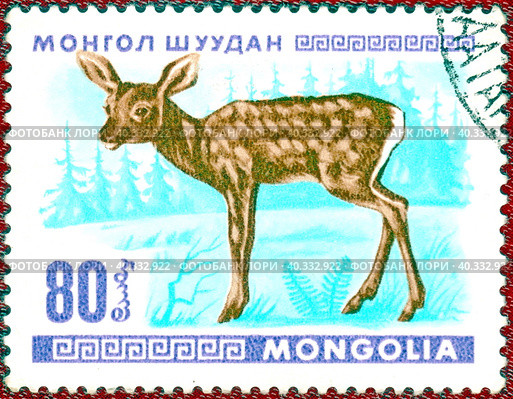Почтовая марка с изображением олененка. Серия "Животные". Филателия. Монголия, выпуск 1968 года. Стоковое фото, фотограф Сергей Елизарьев / Фотобанк Лори