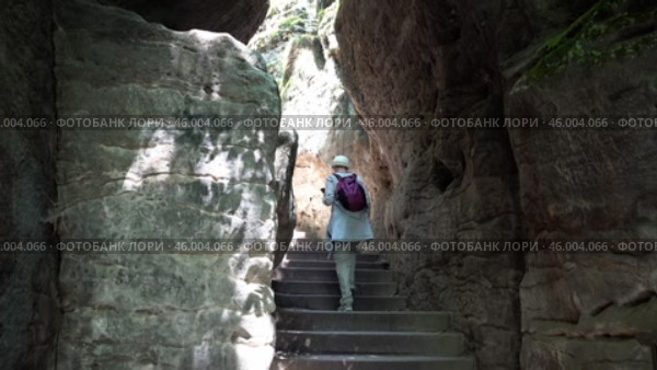 Подъем к мосту Бастай в Ратене. Германия. Лето. Ascent to the Bastei Bridge in Rathen. Germany. Summer. Стоковое видео, видеограф Горшков Александр / Фотобанк Лори