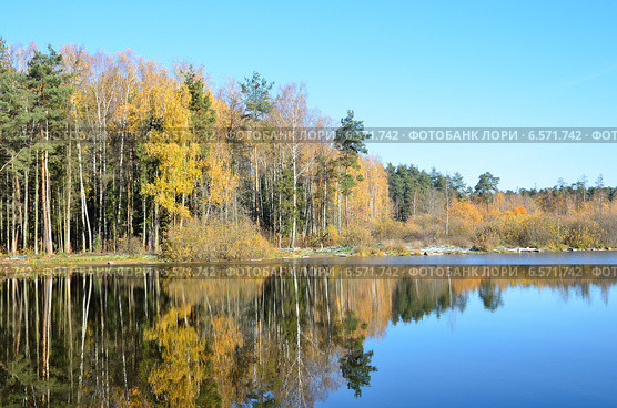 Подмосковье, город Балашиха, озеро Бабошкино (2014 год). Стоковое фото, фотограф Овчинникова Ирина / Фотобанк Лори