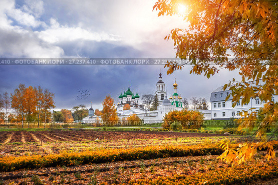 Поле цветов у Толгского монастыря Field of flowers at the Tolga Monastery (2014 год). Стоковое фото, фотограф Baturina Yuliya / Фотобанк Лори