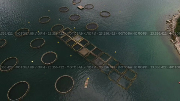 Полет над фермой для выращивания рыбы. Адриатическое море. Которская бухта. Черногория (2016 год). Стоковое видео, видеограф Кекяляйнен Андрей / Фотобанк Лори