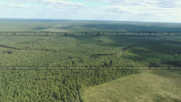 Полёт над лесом и болотом. Стоковое видео, видеограф Денис Логиновский / Фотобанк Лори