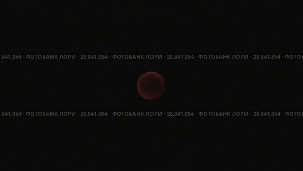 Полное лунное затмение 28 июля 2018 года. Total Lunar Eclipse on July 27–28, 2018. Стоковое видео, видеограф Евгений Романов / Фотобанк Лори